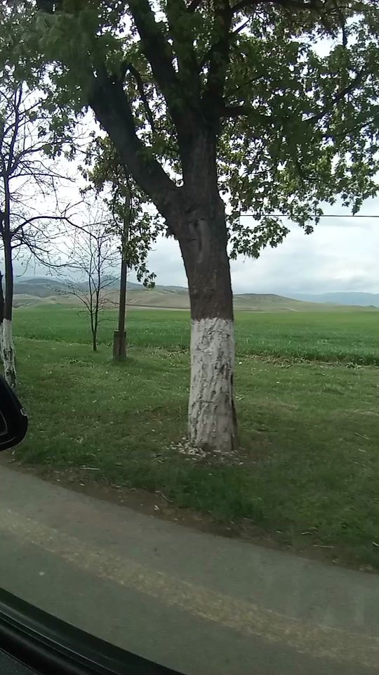 TikTok video thumbnail by a_ova_020