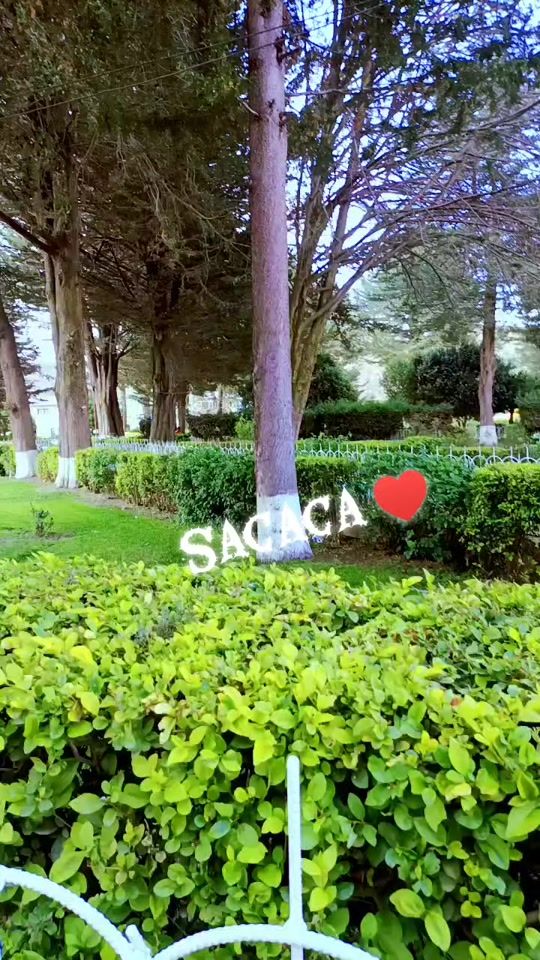 TikTok video thumbnail by marguiauca