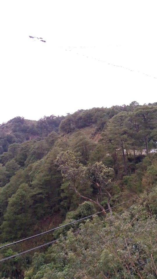 TikTok video thumbnail by ranejdave