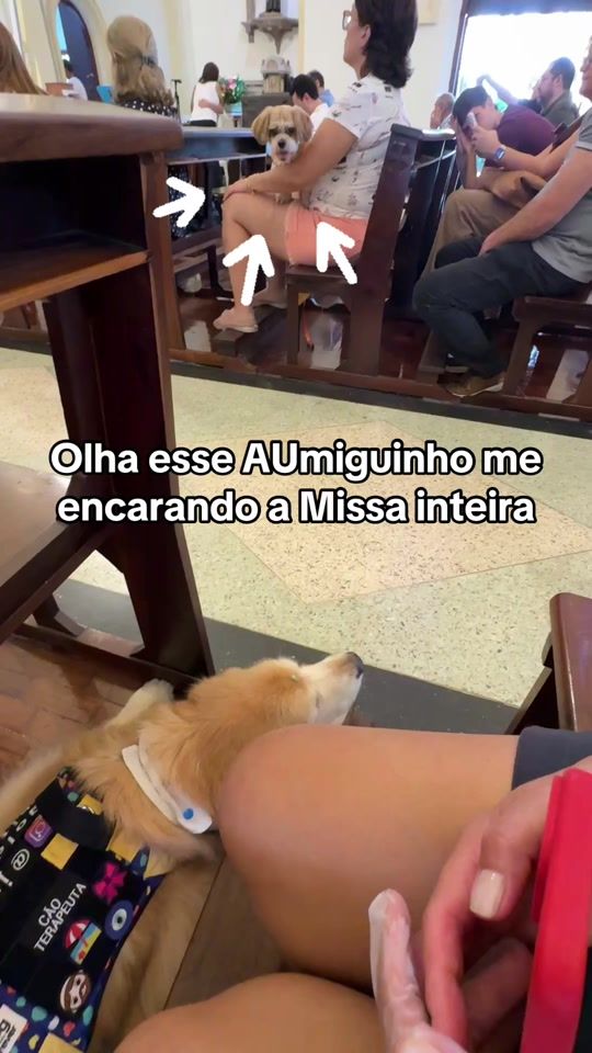 TikTok video thumbnail by juliegoldenhits