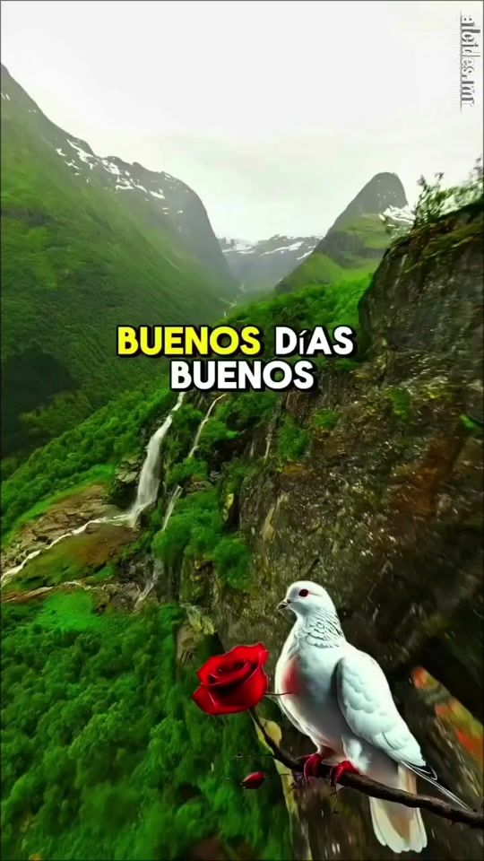 TikTok video thumbnail by rocio_1490.a