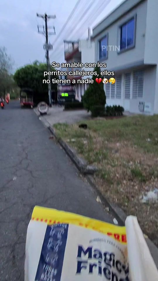 TikTok video thumbnail by pitin__