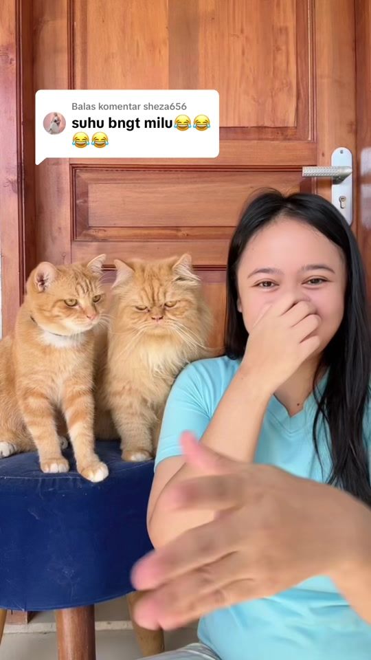 TikTok video thumbnail by kucingmilu