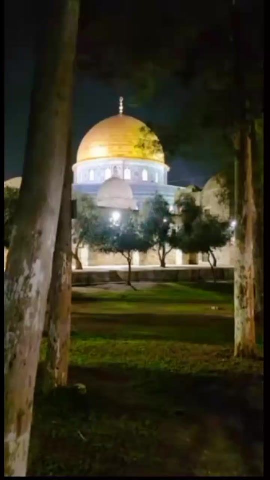 TikTok video thumbnail by 3achikat_al_aksa