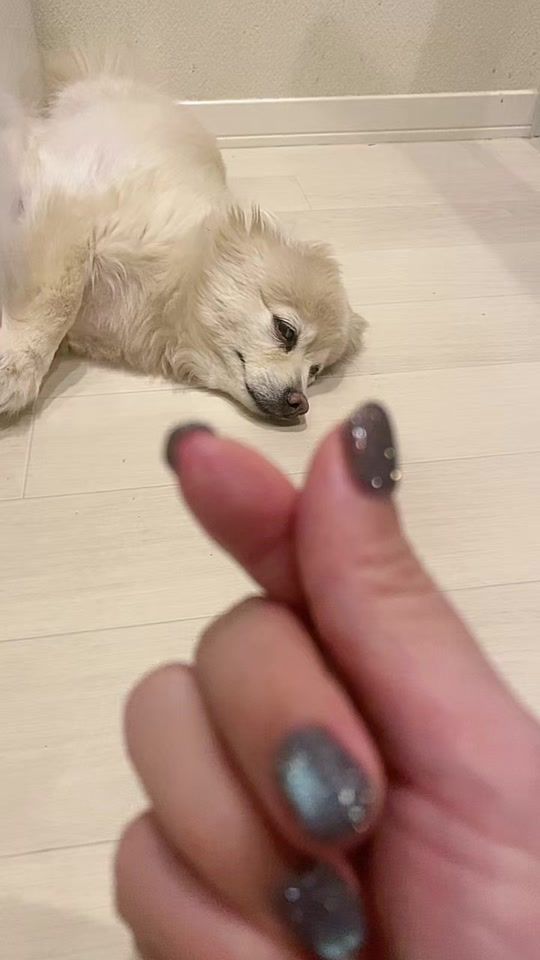 TikTok video thumbnail by cocosama0525