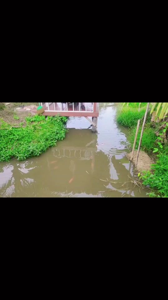 TikTok video thumbnail by chaba.artchawa