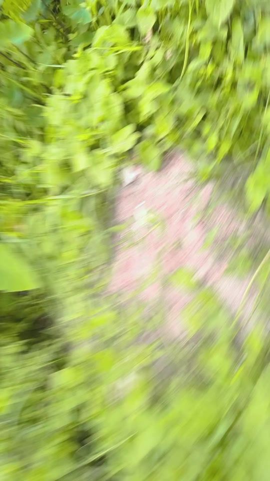 TikTok video thumbnail by mdraseluddinsharif