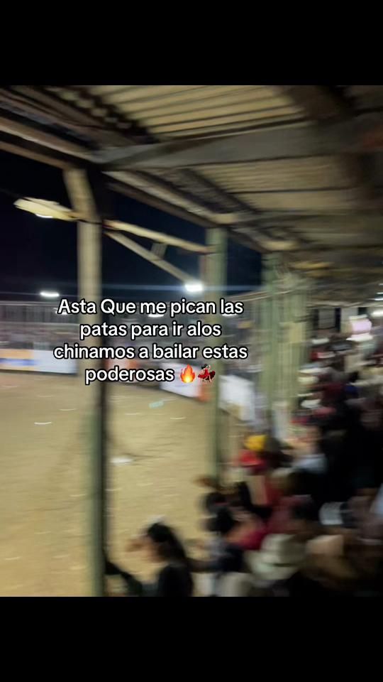 TikTok video thumbnail by 917iva