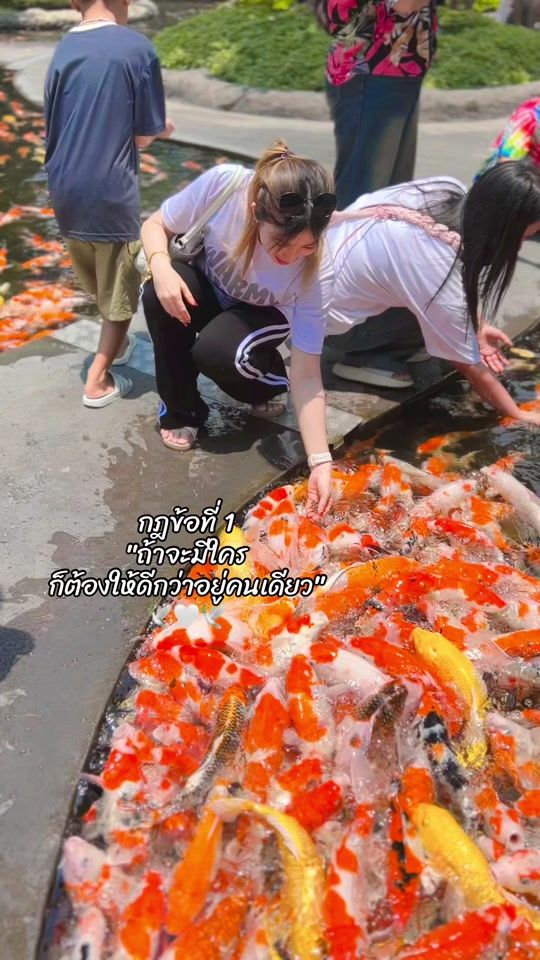 TikTok video thumbnail by _chanikan_fon