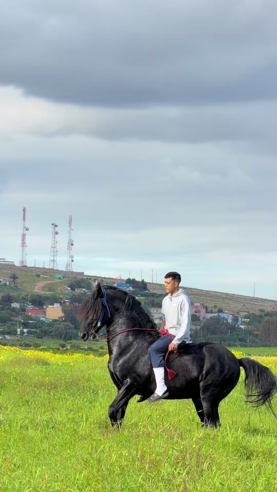 TikTok video thumbnail by youssef_dlh