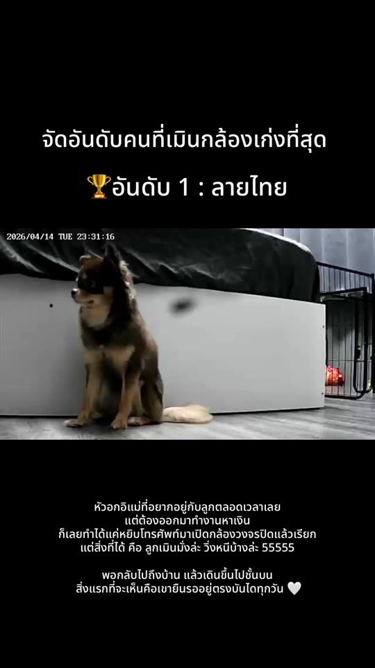 TikTok video thumbnail by krupop_thanya