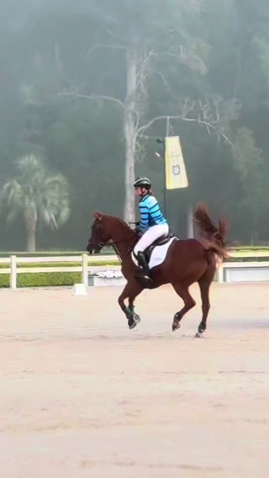 TikTok video thumbnail by amber_equestrian.0