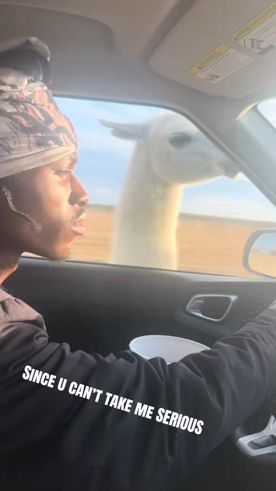 TikTok video thumbnail by ___________nonchalantras