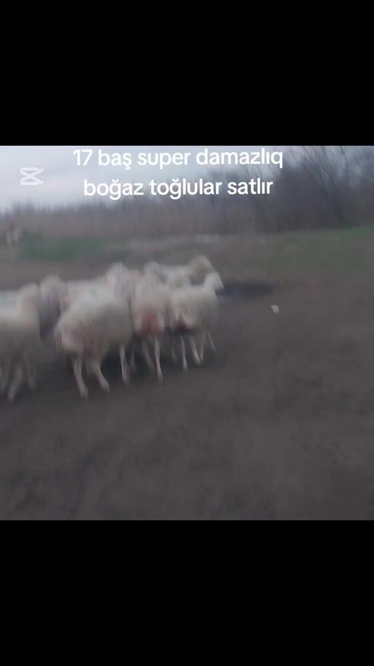 TikTok video thumbnail by cahid960