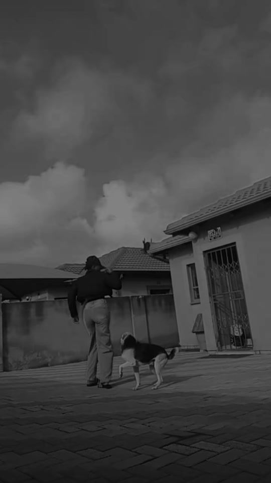 TikTok video thumbnail by prettytumi2