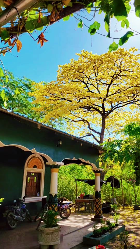 TikTok video thumbnail by ladyrosas88