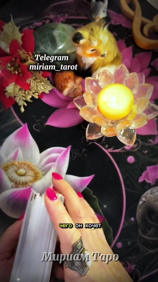 TikTok video thumbnail by miriam_tarot