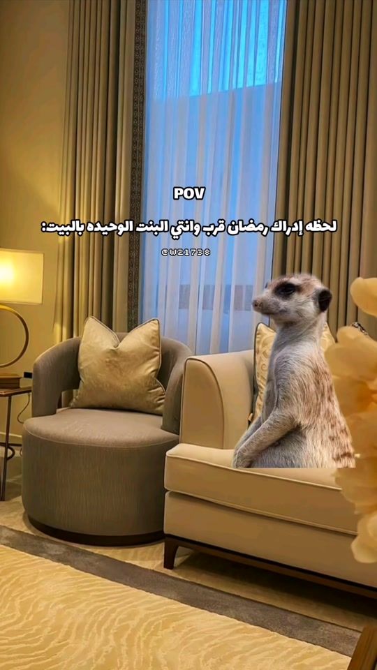 TikTok video thumbnail by w21738