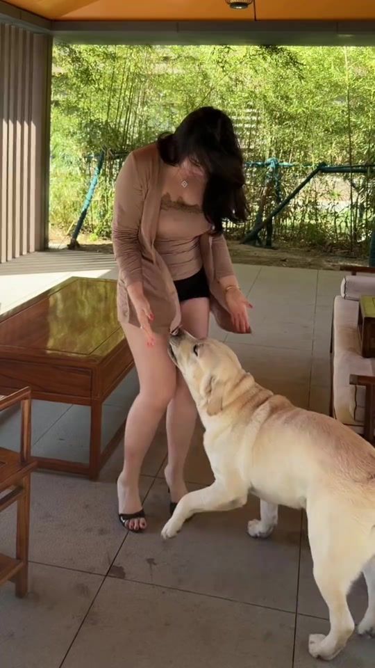 TikTok video thumbnail by frog6083