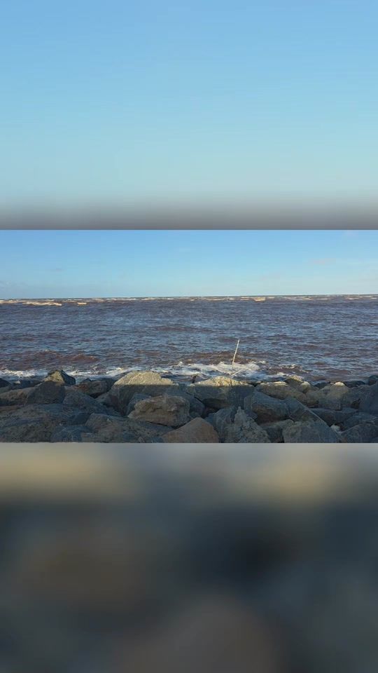 TikTok video thumbnail by priyaramsaroop