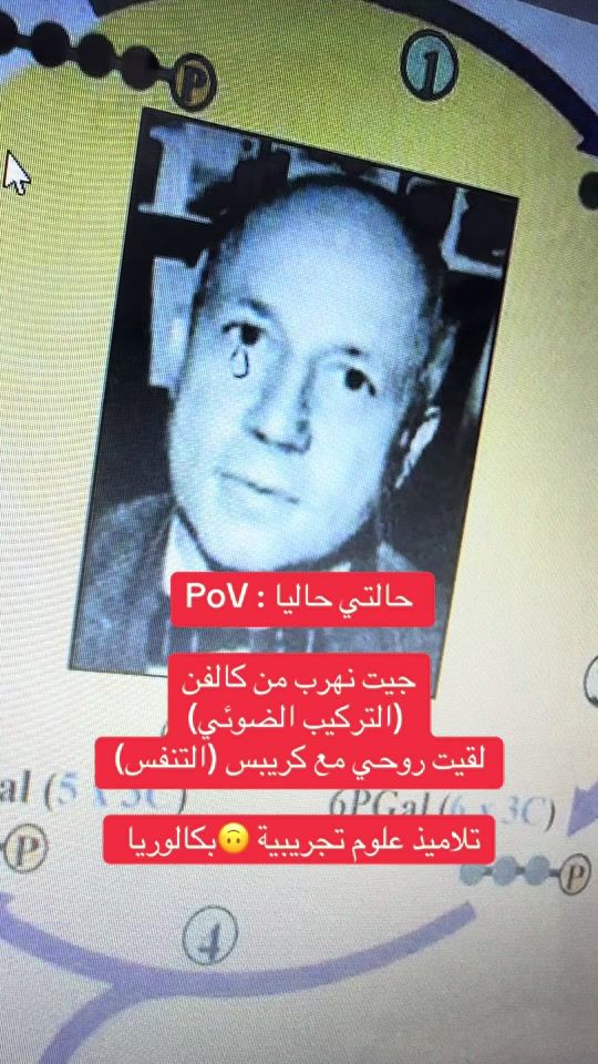 TikTok video thumbnail by prof_ketfi.cherif