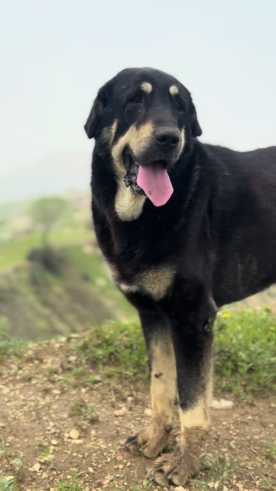 TikTok video thumbnail by hiran801