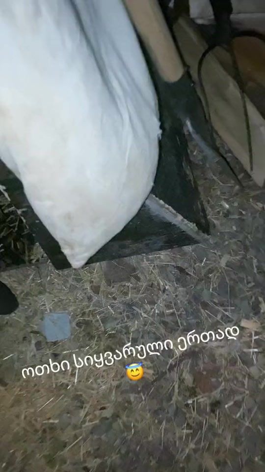 TikTok video thumbnail by officiall_gabu