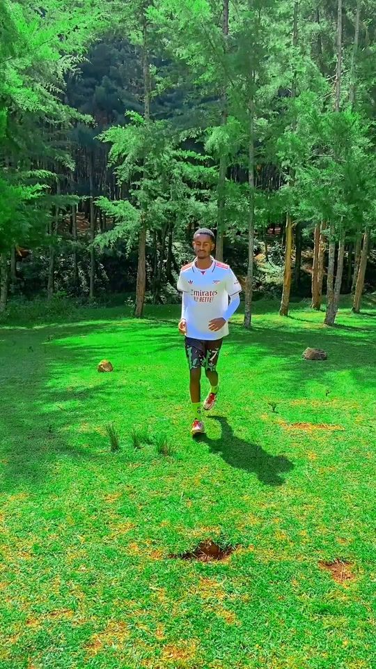 TikTok video thumbnail by ansesusee