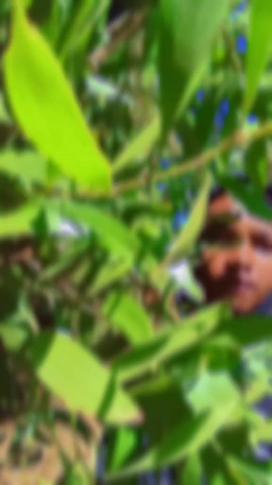 TikTok video thumbnail by kimutafx.75