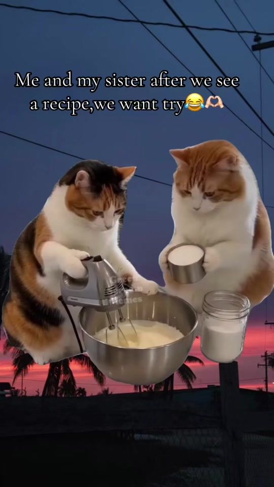TikTok video thumbnail by sevencurrywithloudachar1