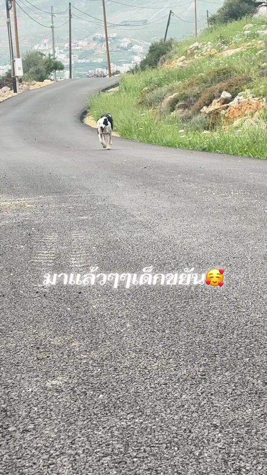TikTok video thumbnail by stories5604