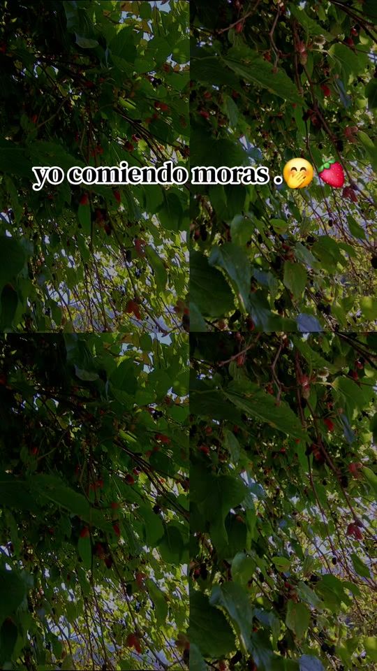 TikTok video thumbnail by dalis.502