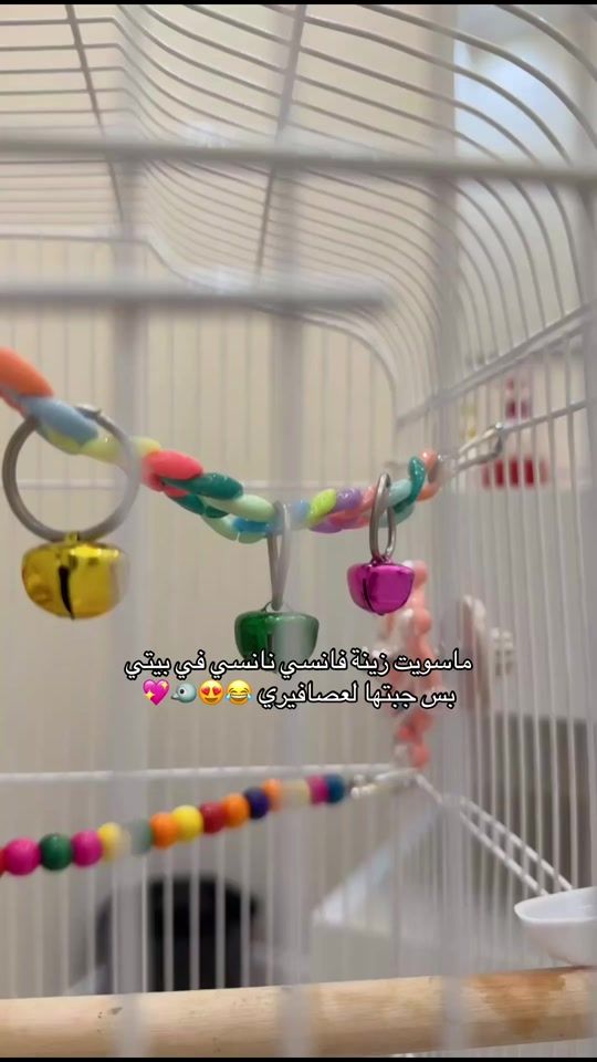 TikTok video thumbnail by rooh_dawood