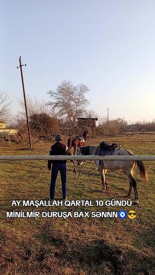 TikTok video thumbnail by ilkin__terterli