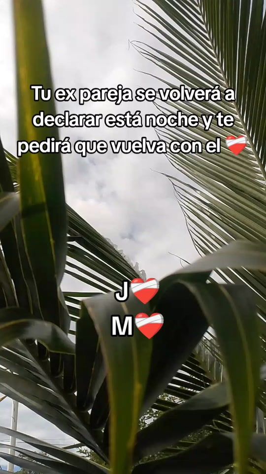 TikTok video thumbnail by maestro_espiritual08