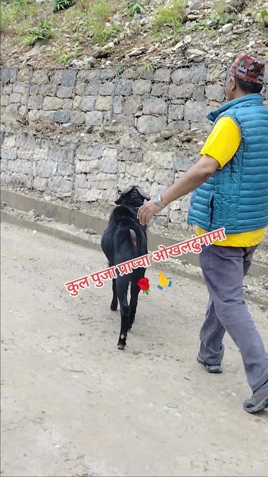 TikTok video thumbnail by tapan_75