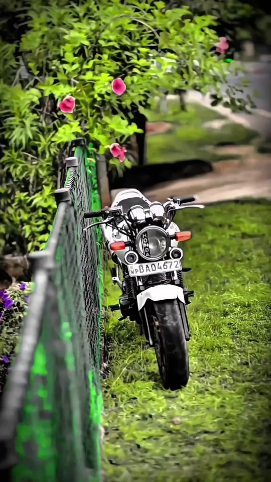 TikTok video thumbnail by mr_rif_rifan