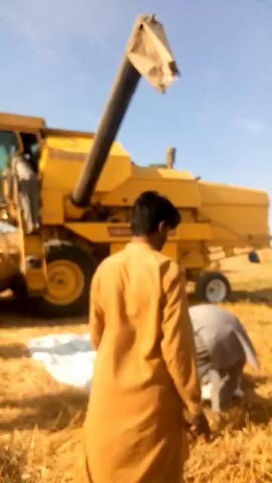 TikTok video thumbnail by rashiddukhigujjar