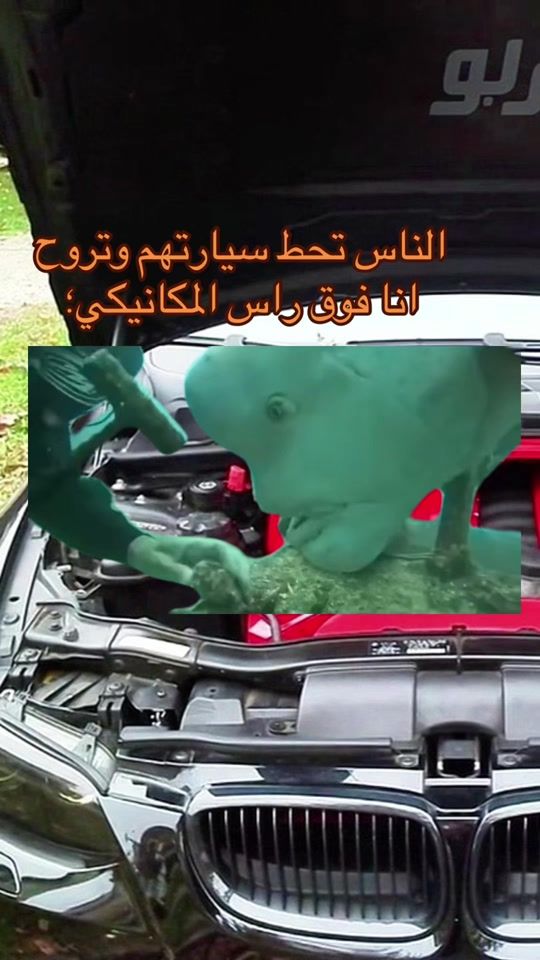 TikTok video thumbnail by adoolka_9