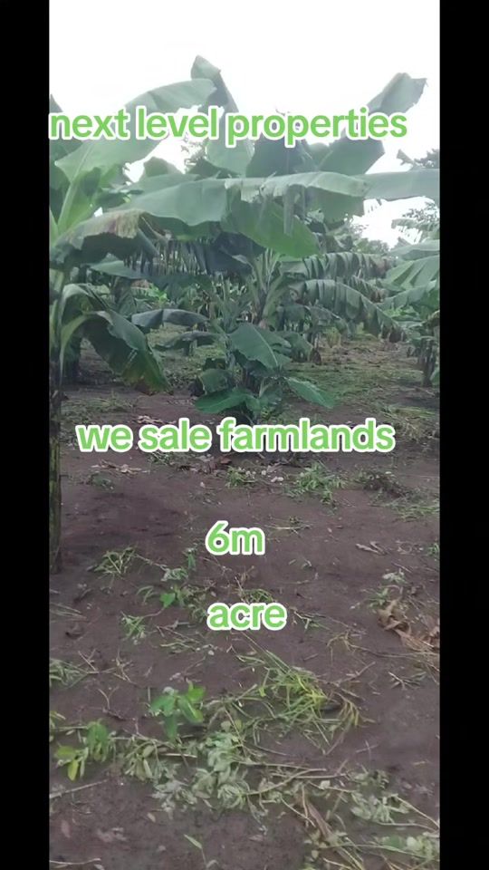 TikTok video thumbnail by kabuye.charles