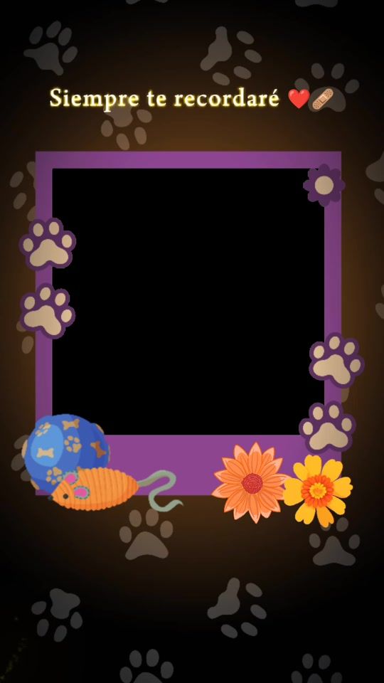 TikTok video thumbnail by vajholeth.a.choqu