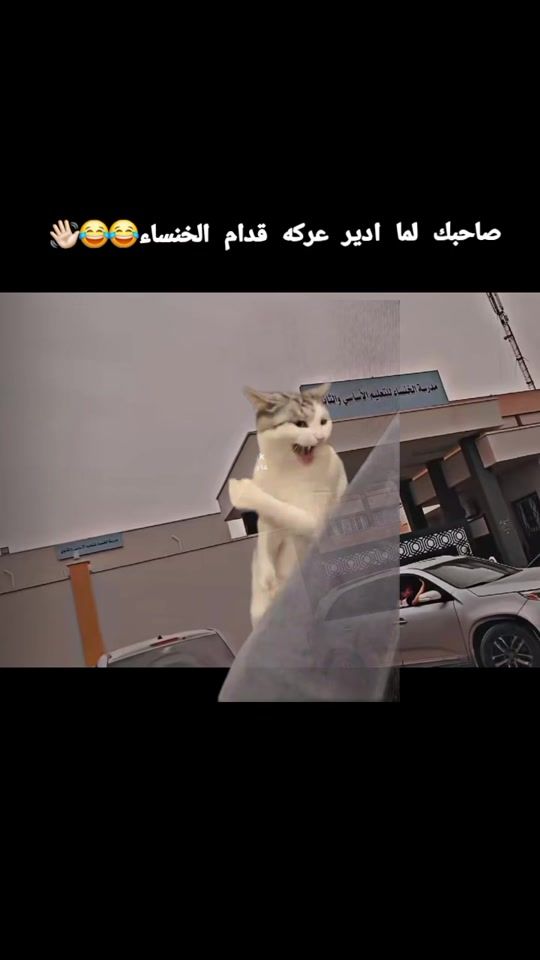 TikTok video thumbnail by k_2_5_3