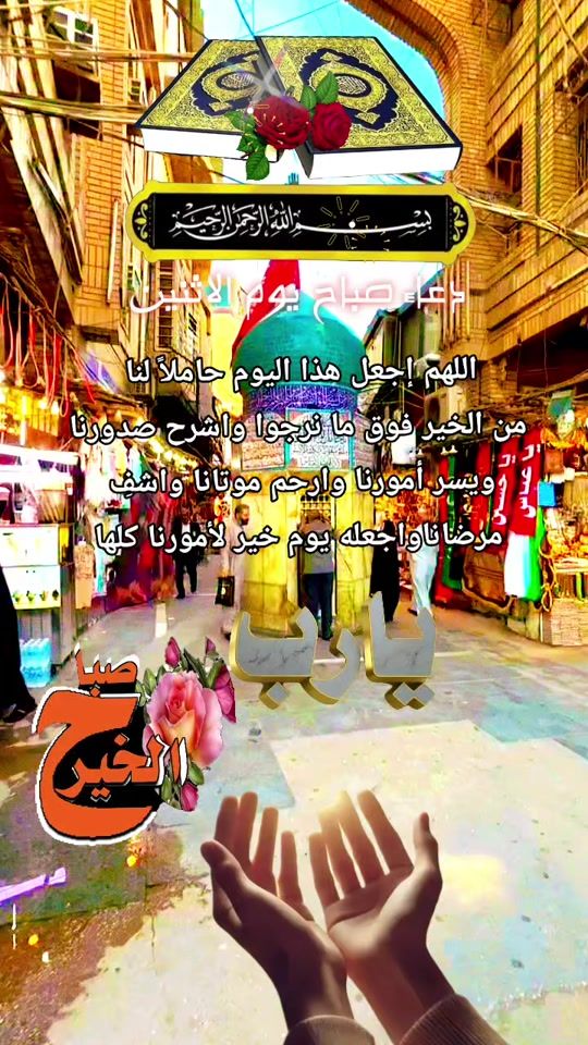 TikTok video thumbnail by wldykl128