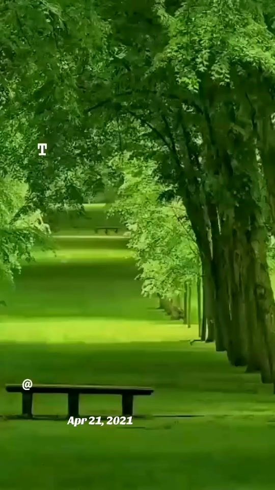 TikTok video thumbnail by i.n.035