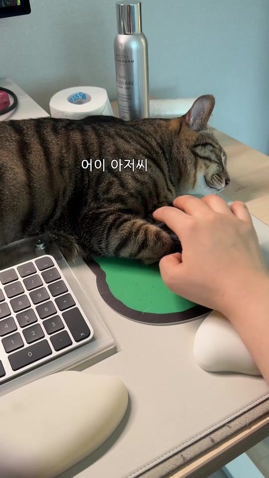 TikTok video thumbnail by ganher_cat