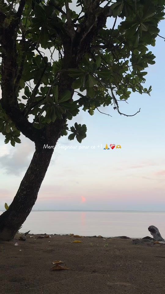 TikTok video thumbnail by poe.29
