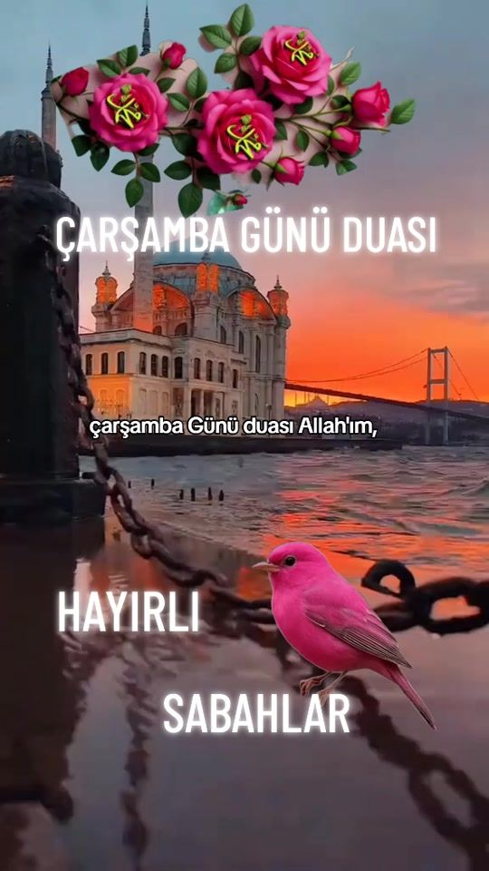 TikTok video thumbnail by zeynep._571
