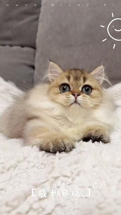 TikTok video thumbnail by anjoy650520