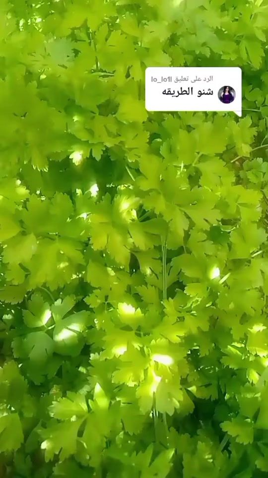 TikTok video thumbnail by ehgy_32fs