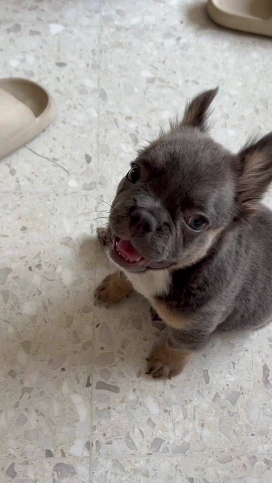 TikTok video thumbnail by edgarco